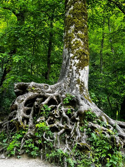 Neue Wege gehen (Vortrag)