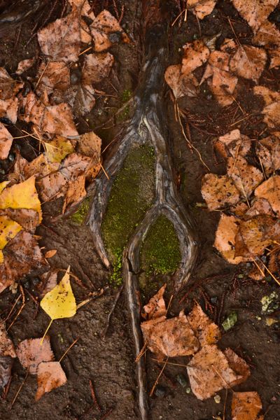Neue Wege gehen (Vortrag)