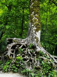 Neue Wege gehen (Vortrag)